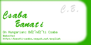 csaba banati business card